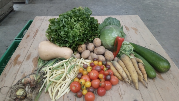 Mit gesundem Gemüse, Obst und Eiern glimpflich durch das Corona-Jahr - Info-Veranstaltung verschoben 